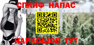 mdpv Ачхой-Мартан