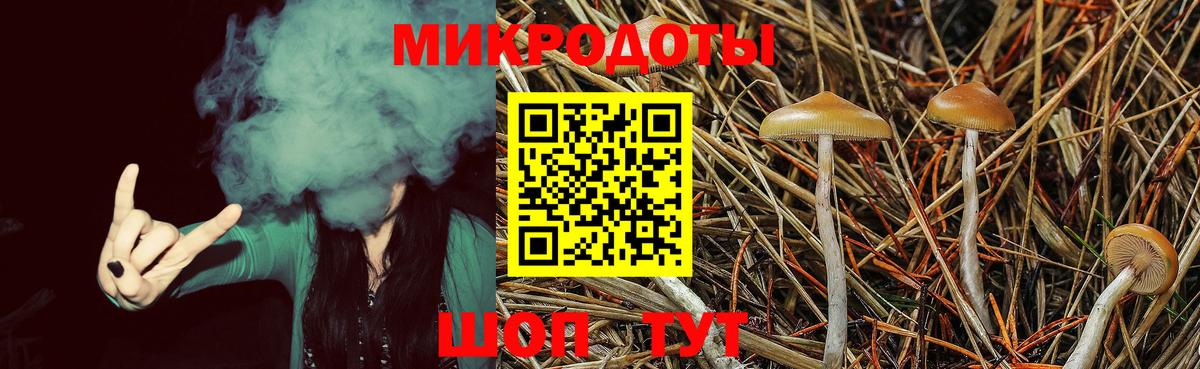 Псилоцибиновые грибы Cubensis  Вход с VPN  Тайшет 